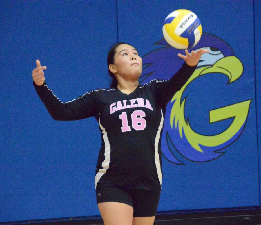 Junior Kaitlyn Aloysius sets up the serve during the volleyball game.